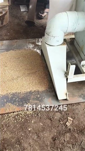 grain section machine