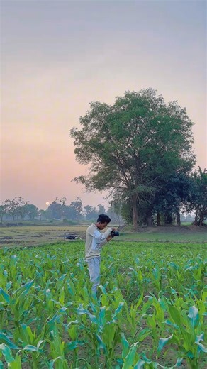 ‘Natural light photography Tricks you must Try! #deepakphotography #photography #shorts