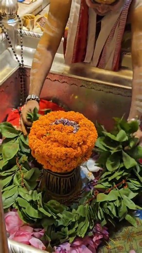 kya laya tha sath me bandeya#video#viral#reelstrending#youtubeshorts##reels
