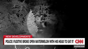 Fugitive's account of two weeks on the run