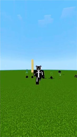 Minecraft Logic is not good 😐