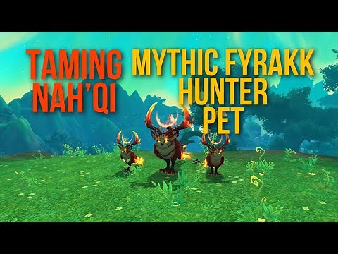 Nah'qi the Spirit Owl Hunter Pet Tame - ONLY From Mythic Fyrakk!