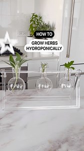 8.2K views · 28 reactions | Not only does a hydroponic herb garden require no soil and zero maintenance, but it also makes for a stunning arrangement!  Learn how to create your own: https://bit.ly/3BnEwEm | Apartment Therapy | Facebook