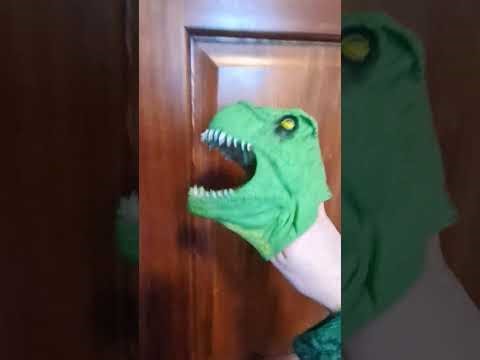 What is a declension, the basics