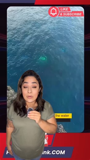 Myra Moore (PC) on Instagram: "A witness exploring sea caves off the coast of Brazil captured something chilling on camera… three glowing, unidentified orbs moving underwater. 🌊✨ Not reflections. Not fish. Are these USOs, alien technology, or something we don’t understand yet? Watch closely and tell me what YOU think 👇 #paranormal #uso #ufo #ocean #alien"