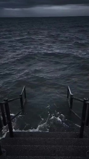 セイキンおもしろ動画をご紹介！