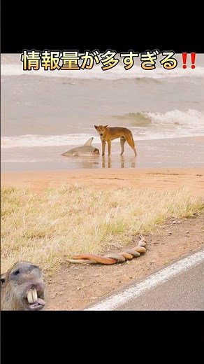 This image contains so much information! #short