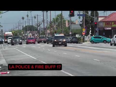 LAPD responding