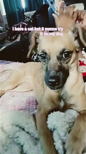 doing this on my dpg