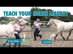 HOW TO START LIBERTY TRAINING - Beginner Friendly! // Easy + Simple