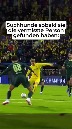 WHEN THE SEARCH DOG FINDS SOMEONE... 😵‍💫 #gaming #discord #discordserver #discord #coding