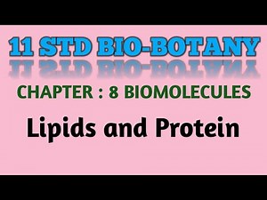 11std BioBotany chapter : 8 Biomolecules - Lipids and Protein