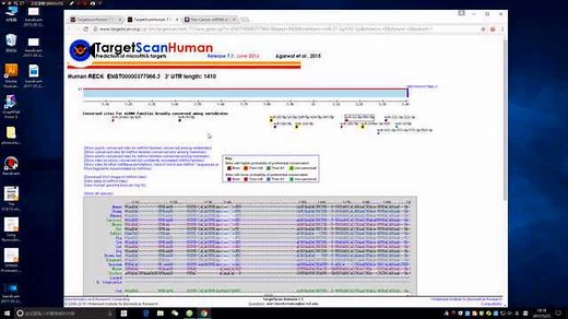 starbase预测miRNA的靶基因