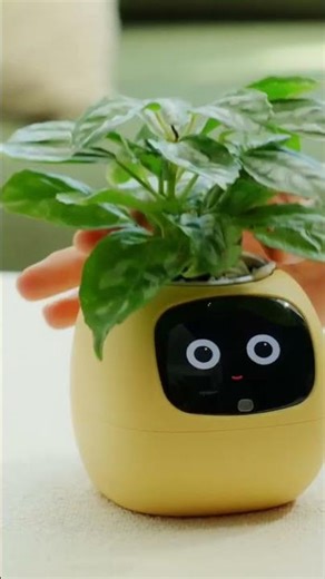 Top 5 Best Companion Robots 2026