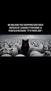 The Shopping Cart Theory: The Shopping Cart Theory argues that a society’s moral health can be judged by whether people return their shopping carts without being forced to. There’s: • No law requiring it • No reward for doing it • No punishment for not doing it Which makes it a pure test of self governance. The core idea is voluntary moral order. In simple terms: Can people do the right thing when no one is watching and nothing is at stake? See for yourself the next time you’re at the store. Jus