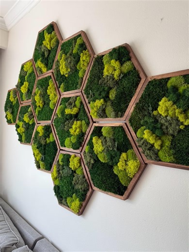 Moss Wall Art Honeycomb | Four Sizes, 5 X 6", 8 X 9", 10 X 11 1/2" or 12 X 13 3/4" | Wood Hexagon | Reindeer Pole Sheet | USA - Tariff Free - Etsy