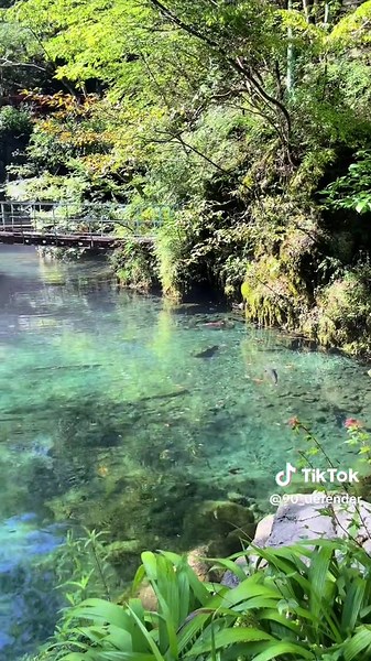 今までに見た中で一番の透明度 だった高知にある神秘的な湖✨ #日本の絶景#高知県 #四国#旅行日記#おすすめ