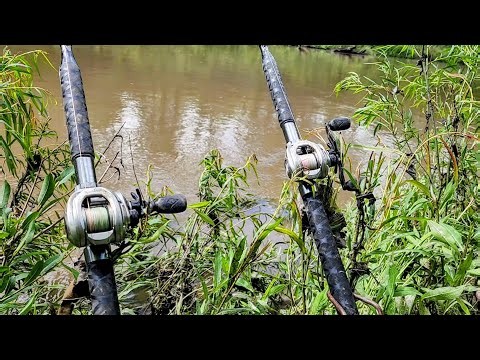 Bank Fishing A SMALL STREAM!!! (Lots of fish)