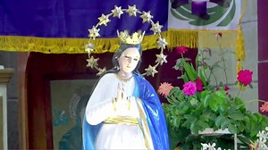 HOLY MASS: Solemnity of the Immaculate Conception of the Blessed Virgin Mary at the Diocesan Shrine and Parish of the Immaculate Conception (San Fernando, Romblon) with Most. Rev. Narciso Abellana, MSC, D.D. | Living Laudato Si' | Facebook
