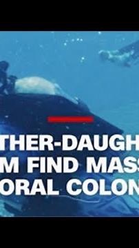 World's largest coral colony found in Australia