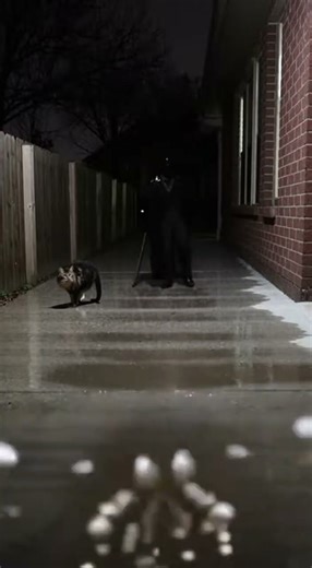 “Driveway Camera Captures Tall Shadow Figure During Rainstorm – CAM 1 Leak”