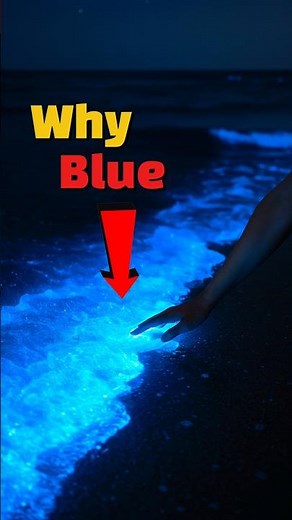 The Ocean's Glowing Secret: Real Blue Light Explained!