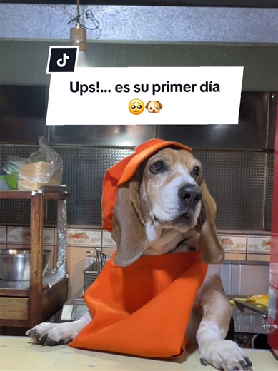 Desinfección y Primer Día de Trabajo en Arequipa