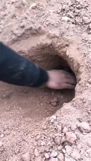 123K views · 984 reactions | cave treasure hunt , accidentally dug uq treasure buried for millions of years#gold #fbreels #reelsviralfb #reelsfypシ #reelschallenge #treasurehunter #archeology #metaldetector #histor #goldjewelry | Discover Gold | Facebook