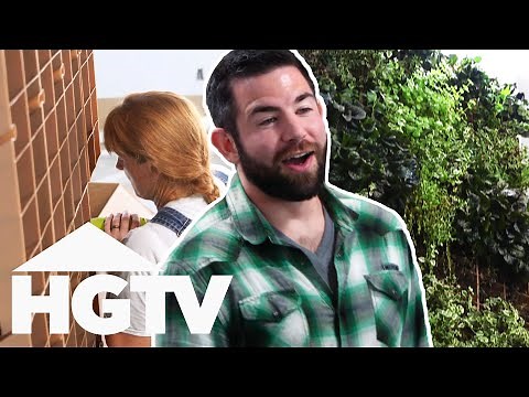 Mina & Karen Create A Big Plant Wall In This Renovated Duplex | Good Bones