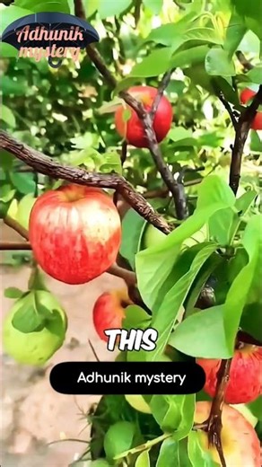 The Amazing Science of Mixed Fruits