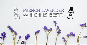 Comparison: Best French Lavender Essential Oils