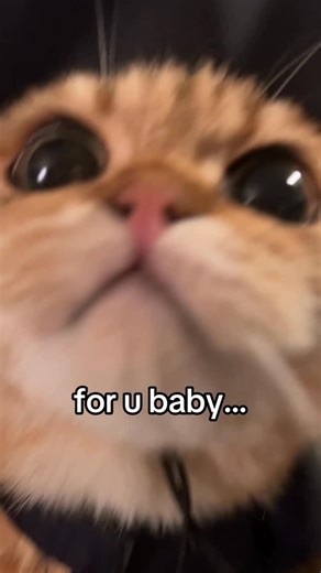 doob & scoob & goob | scoobs costume didn’t fit 😭 he’s too small #fypppppppppppppppppppppppppppppppppppppppppppppppppppppppppppppppppppppp | Instagram