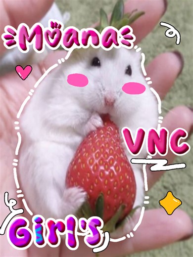Tutorial Hamster Gemusss: Tips dan Trik