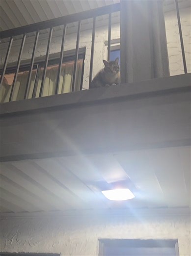 jing (@shes.infinite1)’s videos with Selfish Freestyle - Fabolous