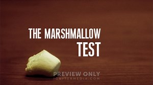 The Marshmallow Test - Mini Movies