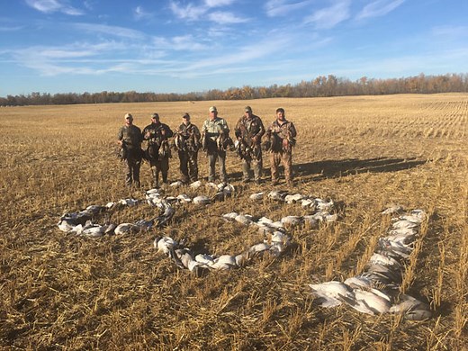 Guided Goose & Duck Hunts in Saskatchewan | Timberlost Outfitting