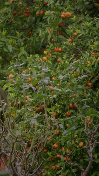 Agios Erotas: Gripping Greek Series on Alpha TV