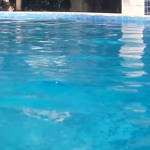 Piscina. 14 anos feita de alvenaria