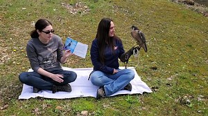 2.1K views · 143 reactions | World Bird Sanctuary on Reels | Facebook