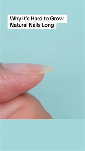 It’s difficult to grow natural nails long because they are usually too thin, causing them to keep breaking at a certain point Premium nail education and products at nailcareer.com 🪄 Watch full in depth nail tutorials on YouTube: nailcareereducation 🎓 #nailcareereducation #nailtech #diynails #nailtutorial #beginnernailtech Nails - Nail tech - Nail technician - Nail design - Nail education - DIY nails - Beginner nail tech - Fake nails - Nail tutorial - Acrylic nails - Gel nails - Nail tips and t