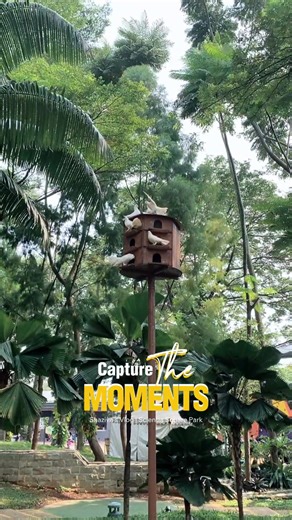 One day at Scientia Square Park 🫶🏻✨ #scientiasquarepark #wisataanak #family #fyp