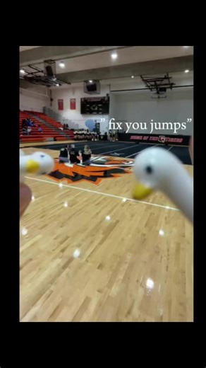 Cheerleading as a Sport: An Inside Look