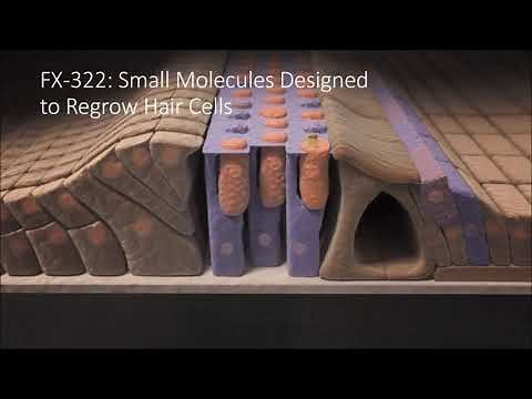 Frequency Therapeutics FX-322 Presentation [AAO-HNSF] - (September 2020)