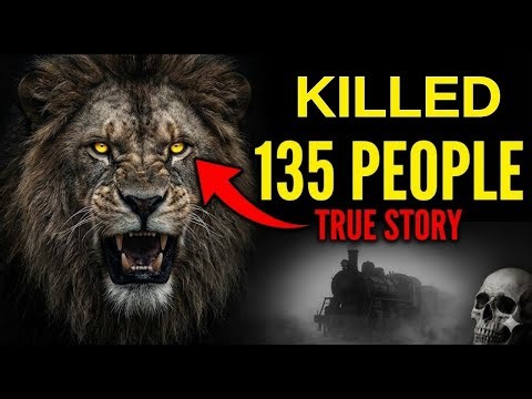 135 Victims: Why These Two Lions Turned Into Monsters | The Tsavo Man-Eaters