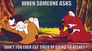 250K views · 3.1K reactions | Disney Dorks on Reels | Facebook