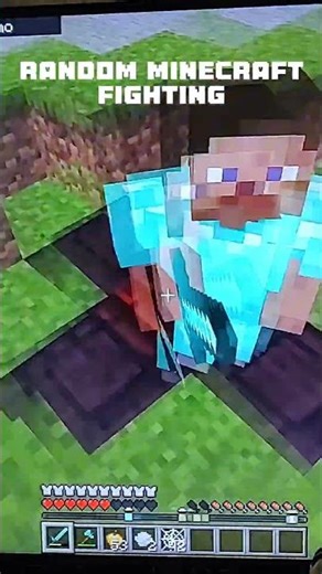 Random Minecraft fighting