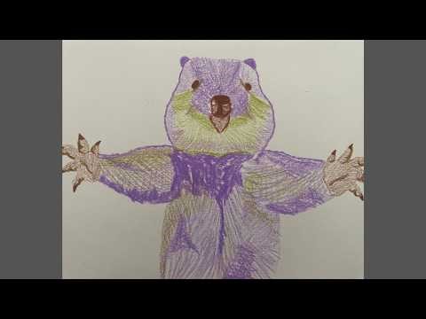 Quokka – Triadic Color Study