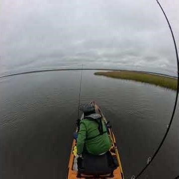 Trout Fishing in North Florida