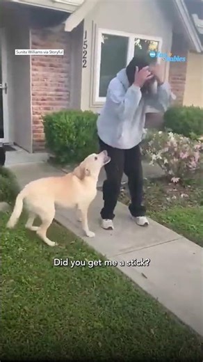 Watch the adorable moment astronaut reunites with her dogs after 9 months in space