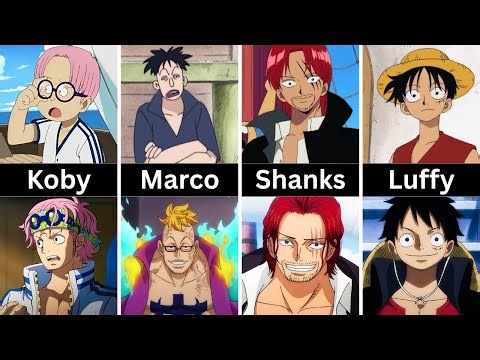 One Piece Characters Before and After Time skip